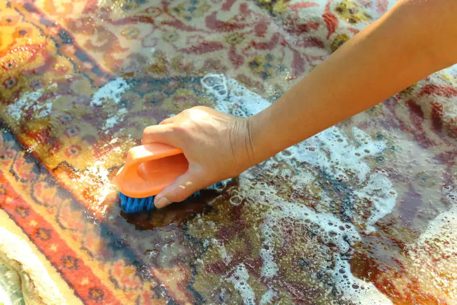 How Area Rug Cleaning Enhances Indoor Air Quality Myrtle Beach, SC