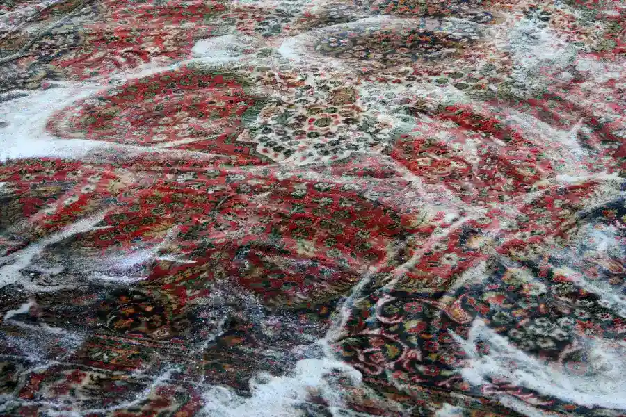 How Area Rug Cleaning Enhances Indoor Air Quality in Myrtle Beach, SC