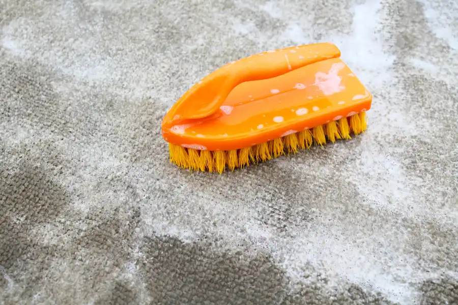 How Moisture Affects Area Rug Cleaning Results in Myrtle Beach, SC