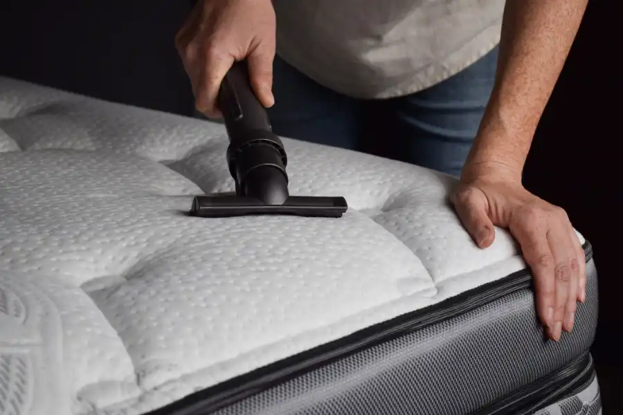 Understanding the Different Upholstery Cleaning Methods in Myrtle Beach, SC