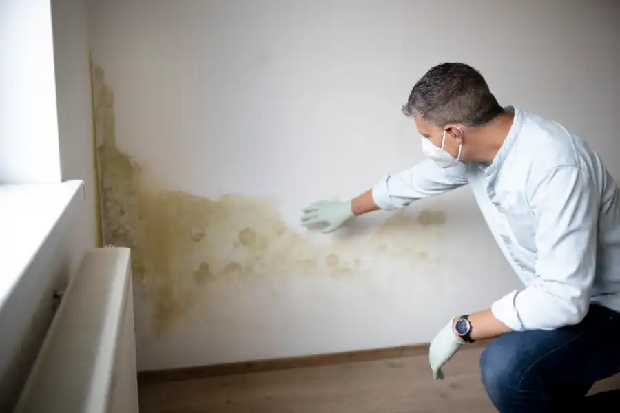 Understanding the Mold Remediation Process for Your Home in Myrtle Beach, SC