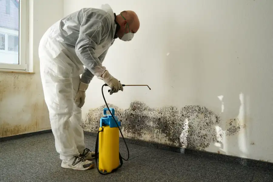 Why Mold Remediation Is Essential for Your Health and Safety Myrtle Beach, SC